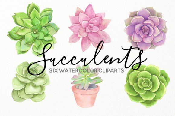 Download Water Succulents Hand Painted Cliparts - Premium Bundle